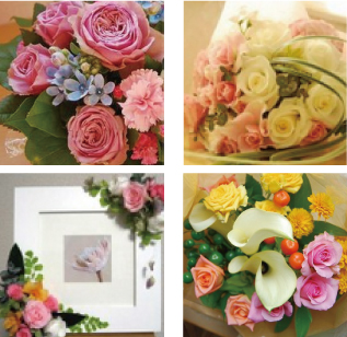 花しゅしゅ写真